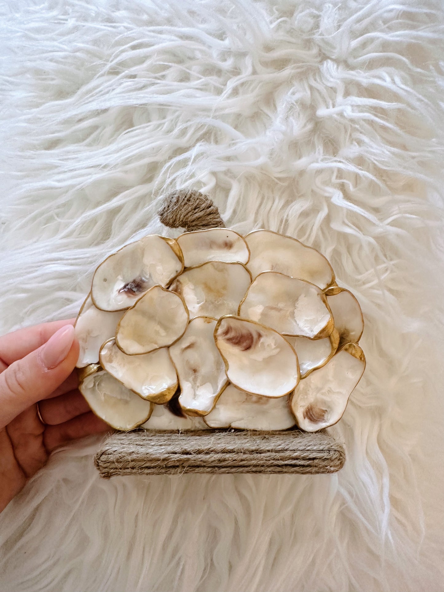 Mini Oyster Pumpkin