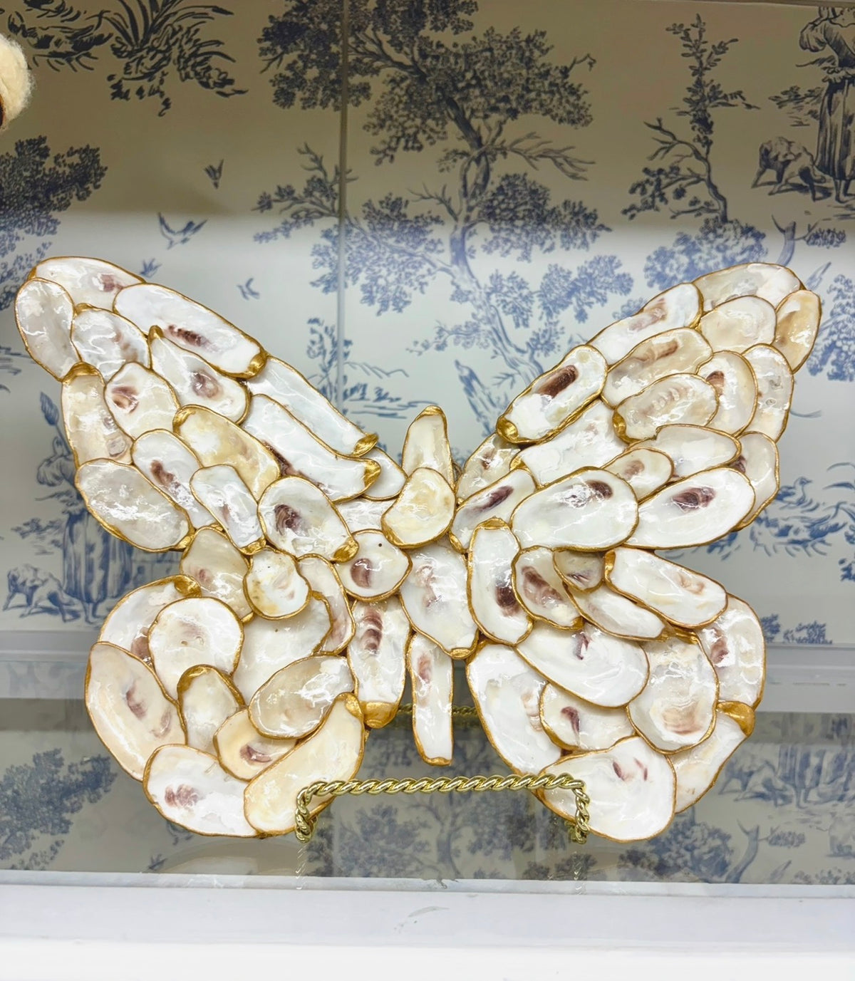 Natural Oyster Butterfly
