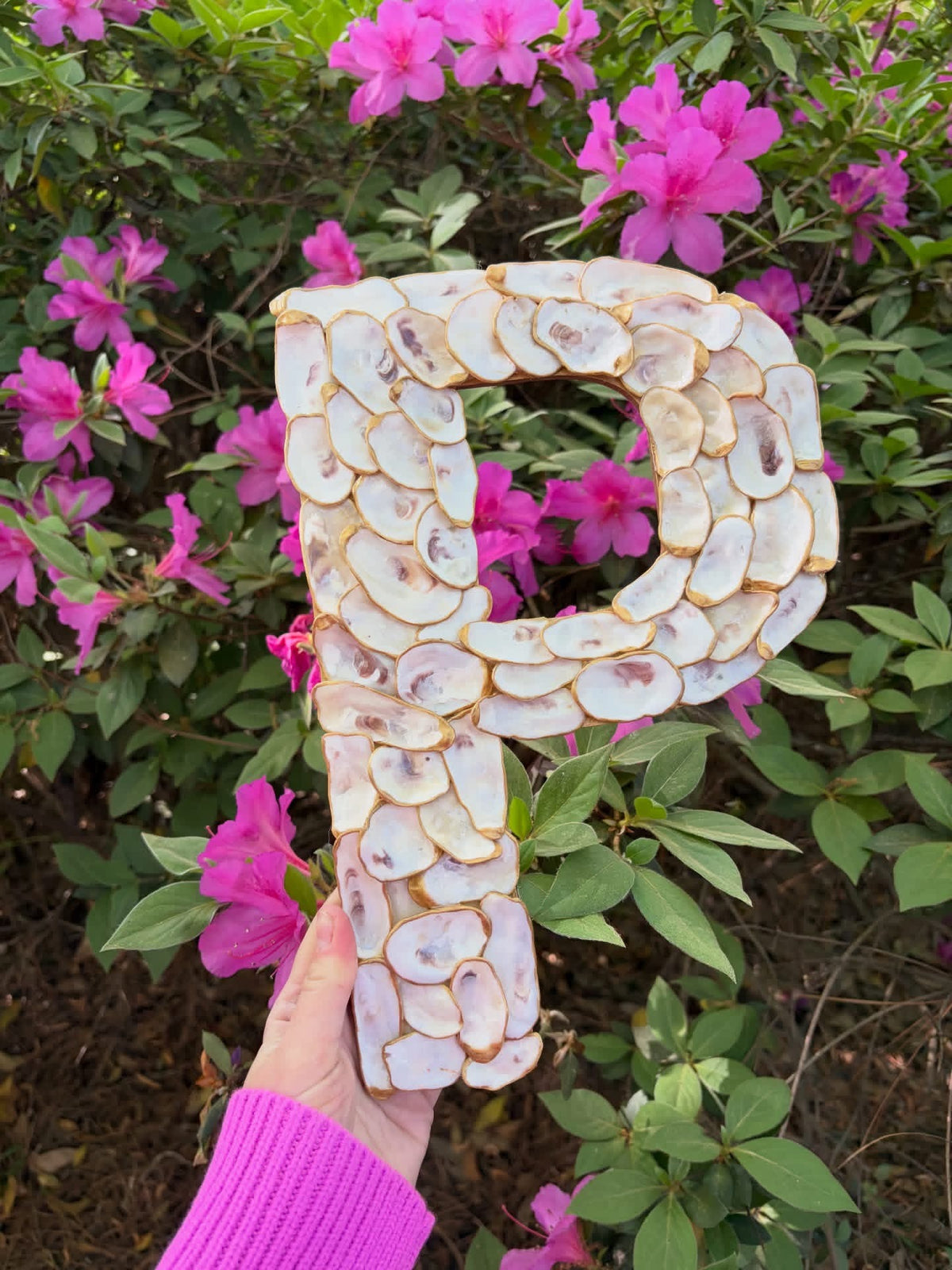 Oyster Shell Initial